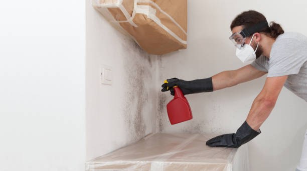 Professional Mold Removal technician working in Harrisburg, IL